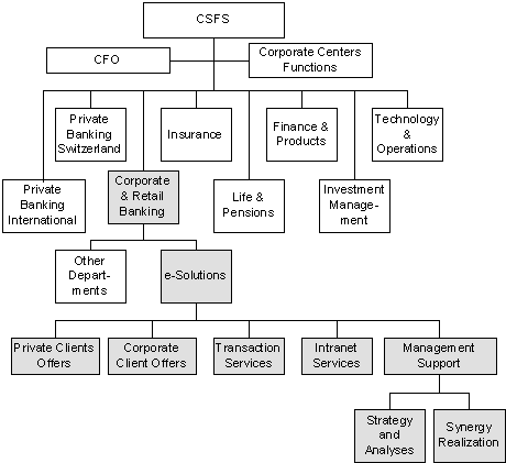 Fig. 1: CSFS Organigram (simplified)