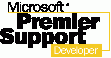 Premier Support for Developer