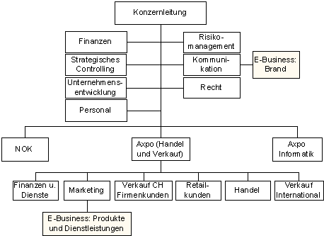 Abbildung 4: E-Business-Organisation Axpo.