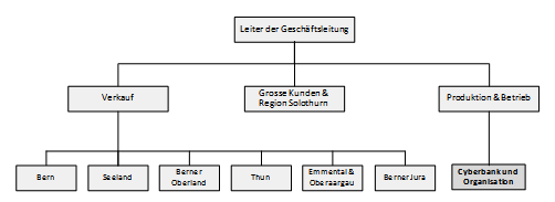 Abb. 1: Organisation