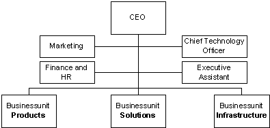 Abbildung 1: Organigramm caatoosee schweiz ag (vereinfacht).