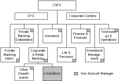 Abbildung 2: E-Business-Organisation CSFS.
