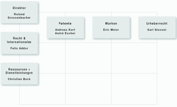 Abbildung 2: Organigramm IGE