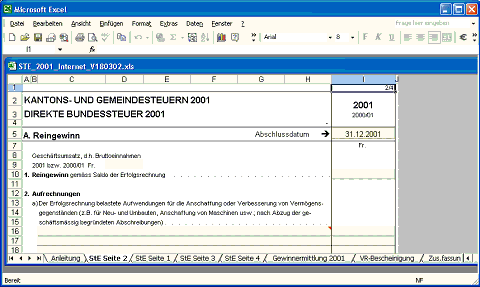Abbildung 6: Steuererklärung in Excel für juristische Personen im Kanton Aargau.