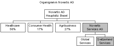 Abbildung 1: Organisation der Novartis. Abbildung 1: Organisation der Novartis.