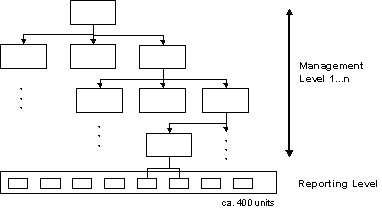 Figure 1-1: Management and Reporting Level of the Capex process