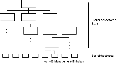 Abbildung 1-1: Management und Reporting Level des Capex-Prozesses