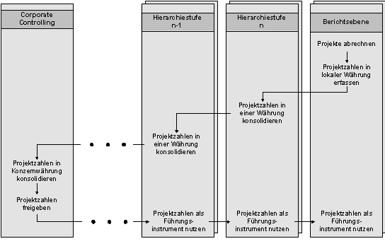 Abbildung 2-2: Bisheriger Prozess der Erhebung und Nutzung von Capex-Daten