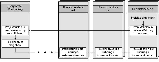 Abbildung 4-2: Capex-Prozess mit e-Care