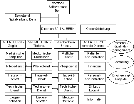 Abbildung 1: Organigramm SPITAL BERN Abbildung 1: Organigramm SPITAL BERN