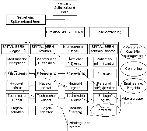 Abbildung 3: E-Business-Organisation SPITAL BERN