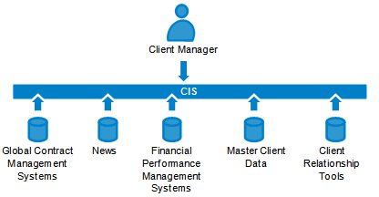 Abb. 1: Zentrales Client Information System