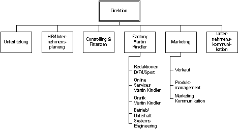 Abbildung 2.1: Aufbauorganisation SWISS TXT