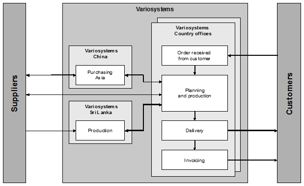 Fig. 1: Division of Work Within the Variosystems Group