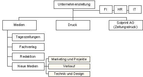 Abbildung 1: Organigramm Vogt-Schild/Habegger Medien AG (Stand Juli 2002).